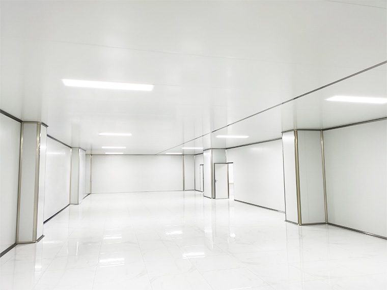 壓片糖果廠凈化車(chē)間